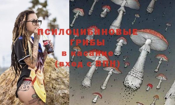 молекула духа Магас