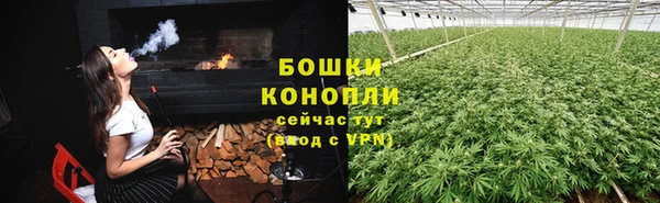 молекула духа Магас
