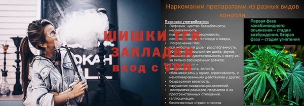 молекула духа Магас