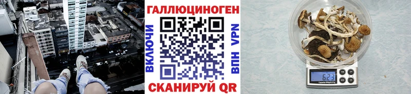 Галлюциногенные грибы Cubensis  гидра сайт  Фокино 